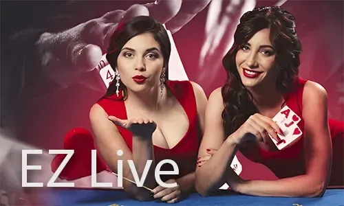 Bingo promotion banner